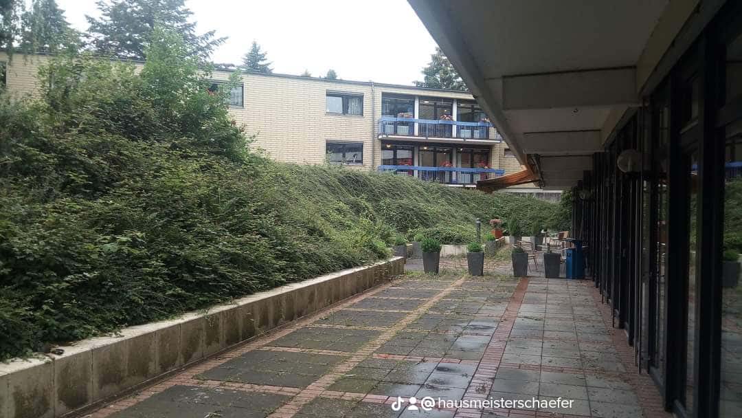 Vorher/Nachher Beispiel